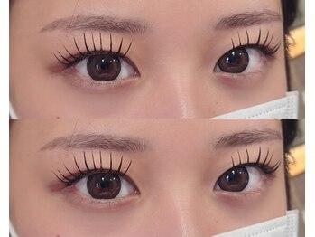 ネオリーブサイン(Neolive sign)/フラットラッシュ120本