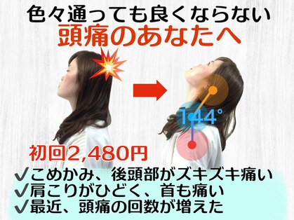 ニコ(nico)の写真