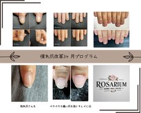 ロザリウム(ROSARIUM)