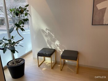 カトレア(CATTLEYA)/シンプルな待合スペース♪