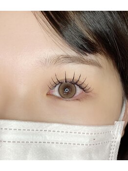 ロアアイラッシュ(Roa eyelash)/Mink120本