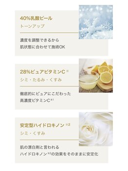 エステティック レイビス 川崎店(RAYVIS)/