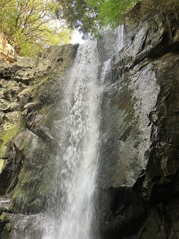 ハリスル 神戸訪問鍼灸付属治療院(harisuru)/淡路島の滝
