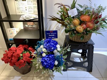 テッコ(TeCCO)/応援ありがとうございます!