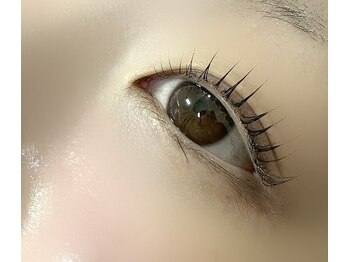 ヴィーナス アイビューティー(VENUS Eye Beauty)/まつ毛パーマ
