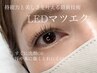 【最新☆LEDエクステ】フラットラッシュ１００本（付け足し）