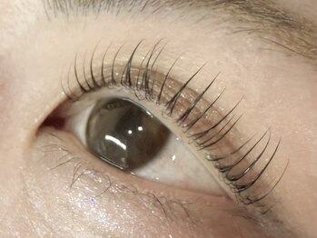 メメ(MEME)/パリジェンヌラッシュリフト