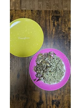 ミホズルーム(Miho‘s room)/お気に入りのお皿