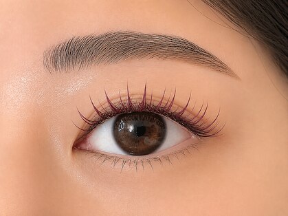 アイラッシュ バイ コンベックス(EYELASH by convex)の写真