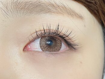 くるり 上野店/フラットラッシュ120本