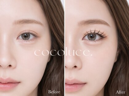 ココルーチェ(COCO LUCE.)の写真