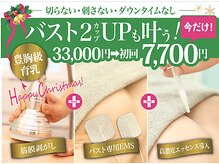 美人バスト 岡崎店