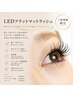 【新規】LEDマツエク│フラットマットラッシュ160本12480→10680
