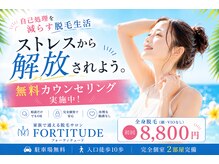 フォーティチュード(FORTITUDE)