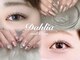 ダリア(Dahlia)の写真