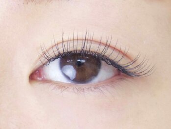 エレガ(ELEGAR)/上100本　