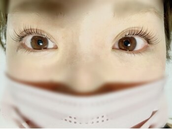 リリウム(Lilium)/