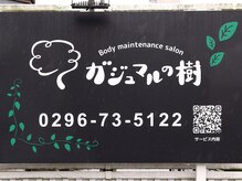 ガジュマルの樹/看板