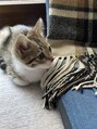 ザ ネイリー(THE NAILERY) 猫が大好きです*