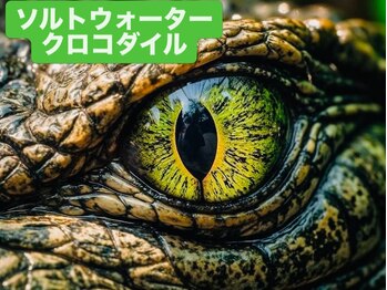 ジャワの宝石/原始の眼差し覚醒