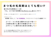 アイラ 錦糸町店(EYELA)/【まつ毛の毛周期はとても短い】