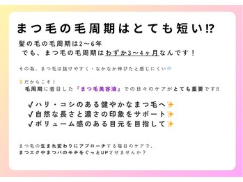 アイラ 錦糸町店(EYELA)/【まつ毛の毛周期はとても短い】