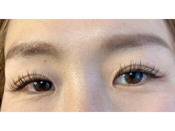 シスタス(Cistus)/フラットラッシュDカール