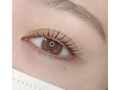 ミモザ アイラッシュ(mimosa eyelash)の写真