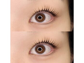 ウィロー(WILLOW)/