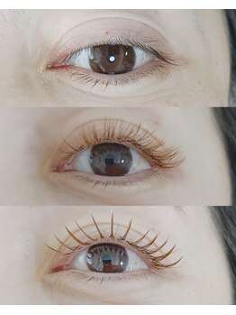 アピアチェーレ 南浦和(a.piacere)/バインドロック140束