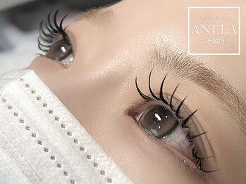 アネラ(ANELA)/BIND LOCK100束☆