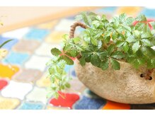 からだすまいる本舗/受付カウンター上に珍しいタイル