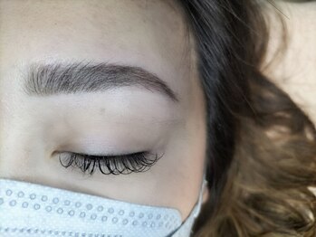 リリウム(Lilium)/