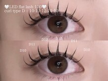 プラス ファースト(Plus 1st)/フラットラッシュ100 bykimura