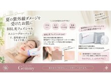 ジェミー(Gemmy)