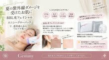ジェミー(Gemmy)