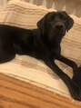 サンクフル ソウトフル アイ(THANKFUL THOUGHTFUL eye)&nbsp;愛犬です【桜新町/駒澤大学/二子玉川/三軒茶屋】