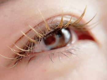 アイ ビューティー ルクール 見附店(EYE BEAUTY Le Coeur)の写真/カール・カラー種類豊富にご用意☆一人一人の目元を最大限生かし理想の目元を叶えます！