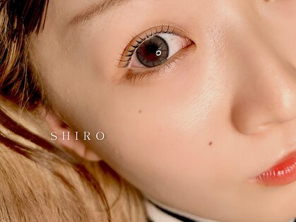 シロ(SHIRO)の写真