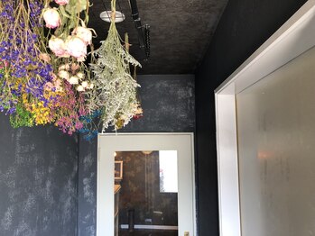 ピッティカ(Pithika)/