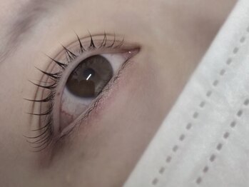 リモア(Re:more)/似合わせまつ毛パーマ