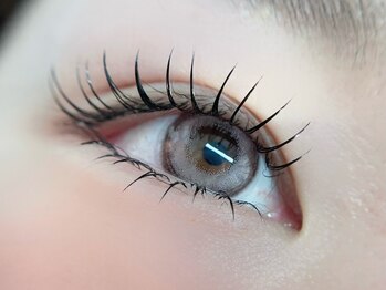 ピュア(Pure.)の写真/マツエクがすぐに取れてしまう、お肌が弱い方必見！話題の《LEDエクステ》で快適なマツエクライフを♪