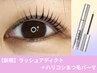 人気の【ラッシュアディクト】￥11,000→￥10,000＋大人のハリコシパーマ