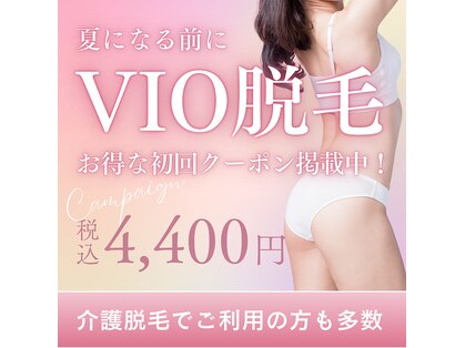 シグネット(Cygnet)の写真