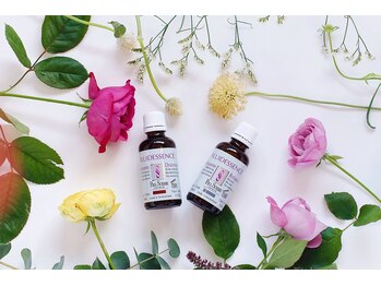 カオヤ プラス(Kaoya plus)/ポールシェリー