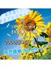 8月限定★ハイパーEX全身+小顔120分が2,000円OFF！毛穴洗浄もプレゼント！