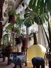タイ式マッサージとカイロのタカスミ/南国の観葉植物がいっぱい