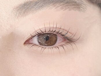 ハニ(HANI.)/上下ラッシュリフト