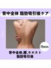 【背中全体の吸引専用】インディバ７０分