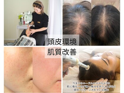 アオラ(Aola)の写真